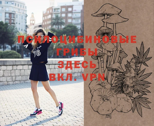 амф Абдулино