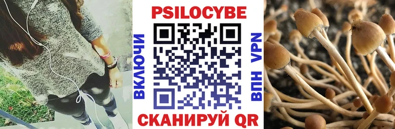 Галлюциногенные грибы MAGIC MUSHROOMS  Новосиль 